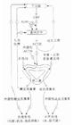 消化道激素