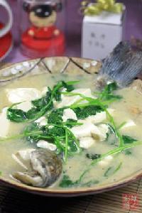 鯽魚芫荽豆腐湯