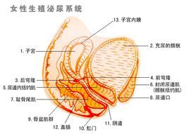 縮陰手術