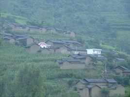 大窪村[雲南省昭通巧家縣金塘鄉大窪村]