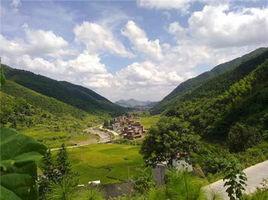 陳家灣村[雲南省宣威市龍場鎮下轄村]