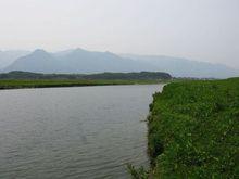 富江富川縣富陽鎮段