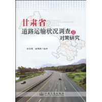 甘肅省道路運輸狀況調查及對策研究 