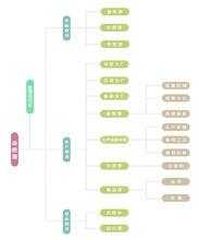 廣東百合醫療科技有限公司組織機構