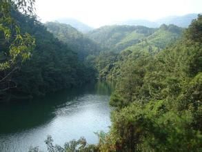 天竺山林場