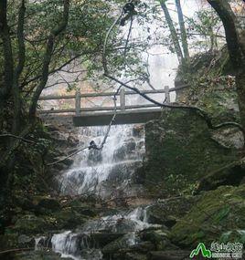 金子山原生態休閒度假旅遊景區