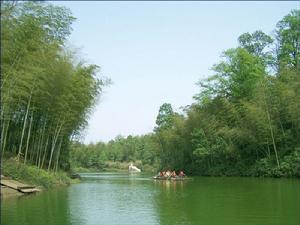 四川長寧竹海國家級自然保護區 四川長寧竹海國家級自然保護區
