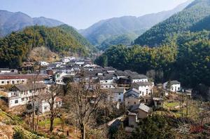 金坑村[福建省邵武市金坑鄉金坑村]