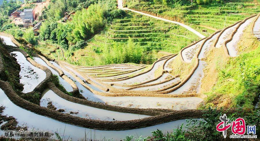 遂川梯田