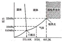 水分子