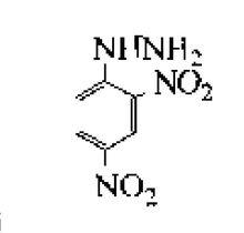 2,4一二硝基苯肼