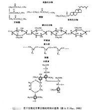 油氣成因