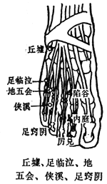 足臨泣