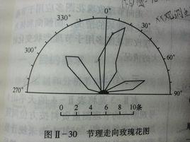 節理玫瑰圖