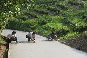 雲嶺村[雲南麻栗坡縣下金廠鄉下轄村]