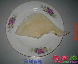 美鰩魚翅