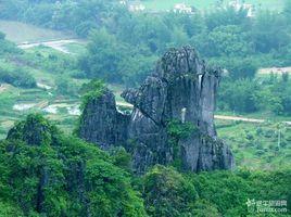 東華山[江西省瑞金市東華山]