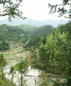 赤水鎮[福建省德化縣赤水鎮]