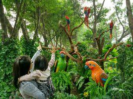 長隆飛鳥樂園