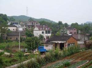 涇縣雲嶺鎮天井村