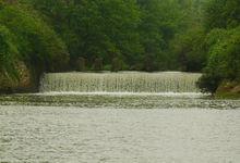 耒水國家濕地公園金線釣葫蘆