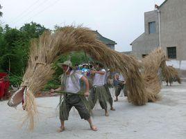 舞草龍