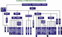 組織機構圖