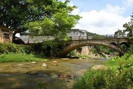 木瓜村[廣東省信宜市思賀鎮木瓜村]