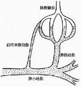 混合型慢性高原病