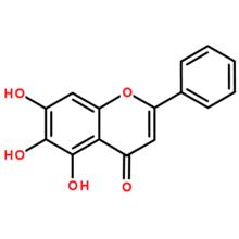 分子結構圖