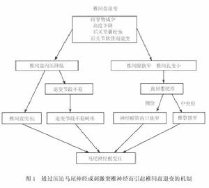 下腰椎不穩症