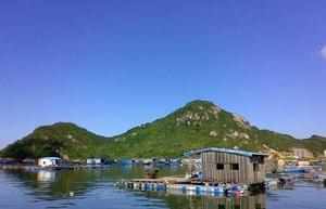 東山珍珠島