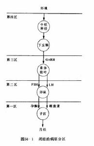 閉經