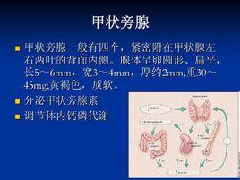 原發性甲狀旁腺功能亢