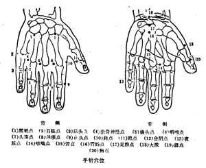 穴位如圖