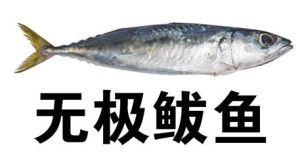 無極鮁魚