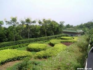 驪山國家森林公園