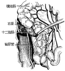 （圖）症狀