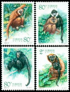 2002-27 長臂猿（T）