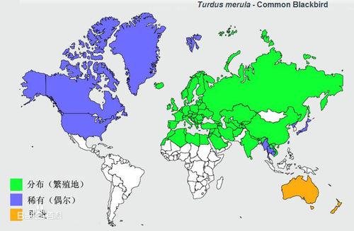 烏鶇分布圖