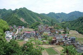 田裡村[漳州台商投資區角美鎮下轄村]