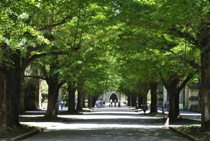 東京大學