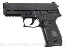 sig P229-R