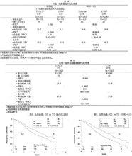 紫杉醇注射液