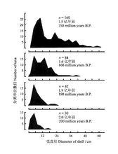 圖5 進化時期菊石體積頻數分布的擴展