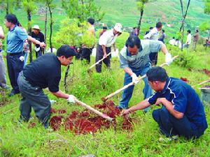 （圖）皇華鎮