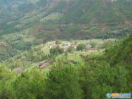 油房村[雲南巧家縣茂租鄉下轄村]