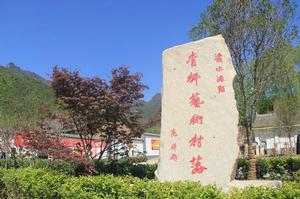 青坪村[陝西省西安市藍田縣灞源鎮]