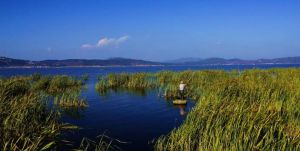 杞麓湖