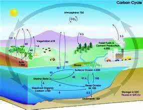 地球系統碳循環
